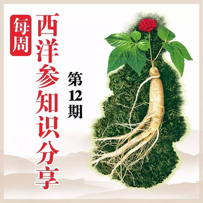 樂(lè)陶陶西洋參小知識(shí)每日分享(周五合集12) 探索黑參產(chǎn)品的奧秘
